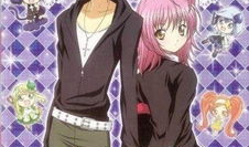 守护甜心漫画,青春心跳的守护传奇